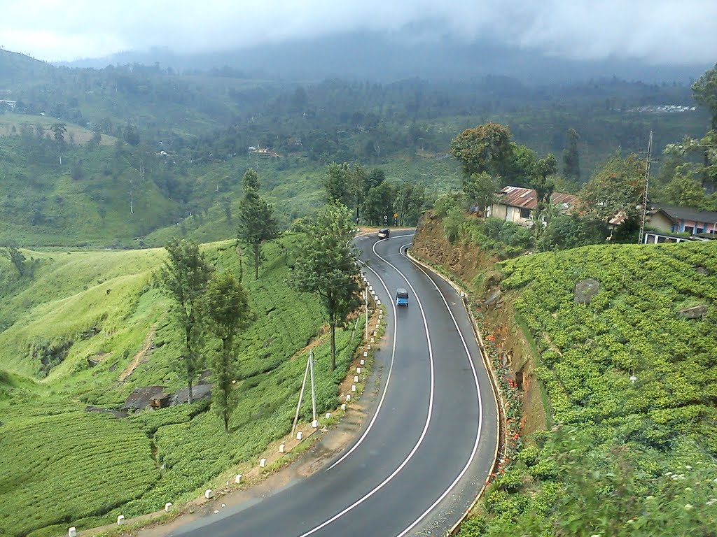 drive through country