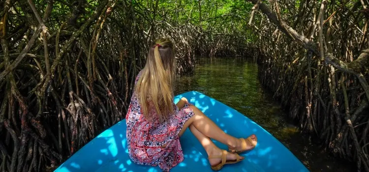 madu river boat tour