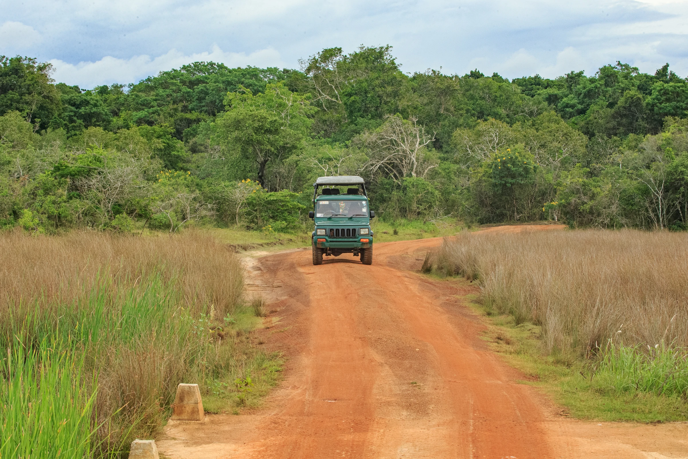 safari at yala