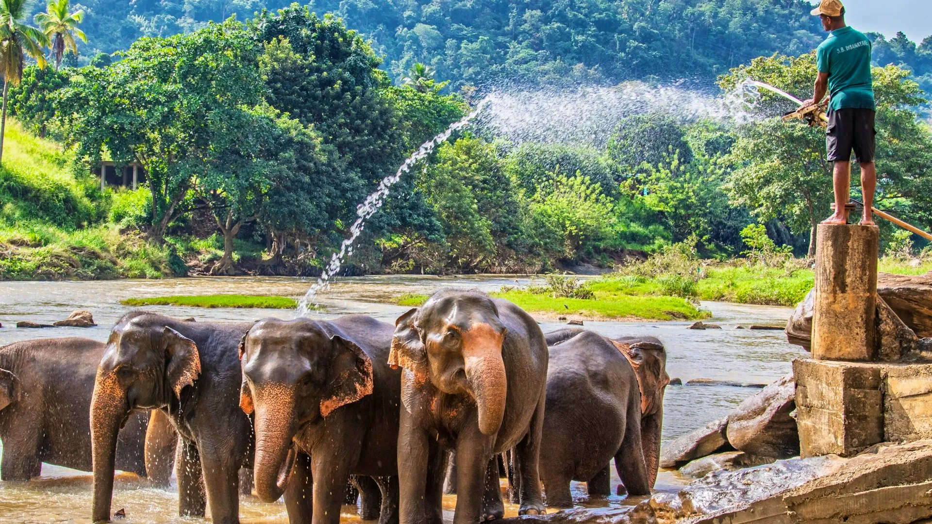 shutterstock 2532767339 scaled 1